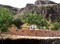 Finca