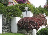 Foto Nr.:14