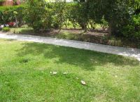 Foto Nr.:12