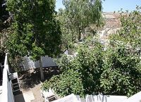 Foto Nr.:24