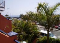 Foto Nr.:11