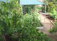 Foto Nr.:20
