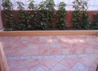 Foto Nr.:11