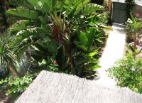 Foto Nr.:23