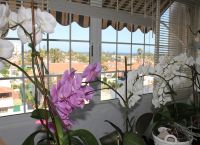 Appartement mit 3 SZ / 2 BZ - Avenida de Tirajana