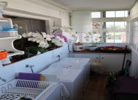 Foto Nr.:24