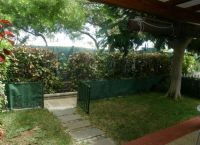 Foto Nr.:14