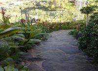 Foto Nr.:24