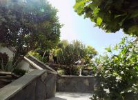 Foto Nr.:19