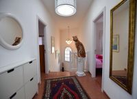 Foto Nr.:11