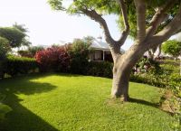 Moderner Bungalow zum Überwintern